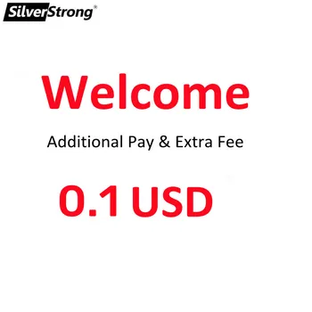 USD0.1 дополнительная плата или дополнительные сборы платежная ссылка