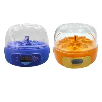 Автоматический инкубатор для яиц Контроль температуры инкубации Автоматический выводной шкаф для яиц Индейка Попугай